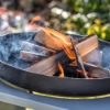 Imagine Vatră de foc Modern cu grilă de grătar, Feu du Jardin