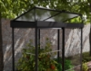 Imagine Canopia - Seră din policarbonat IVY (64 X 124cm) cu structură neagră și panouri transparente