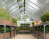 Imagine Sera din policarbonat cu pereti dubli, 2.4 X 8.4m, Bella, Palram - Canopia