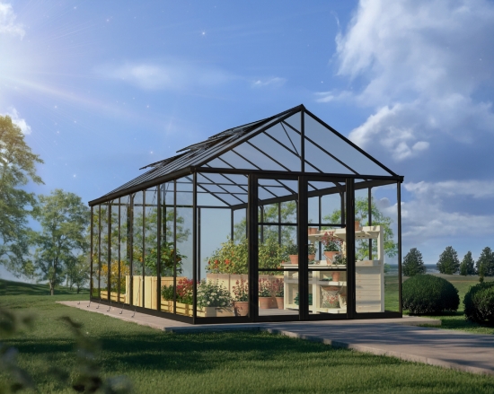 Imagine Sera din policarbonat ARIA Crystal Clear, 3 X 6 m, Palram - Canopia