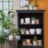 Decor Ghiveci rotund teracota gri-deschis Carrie raft